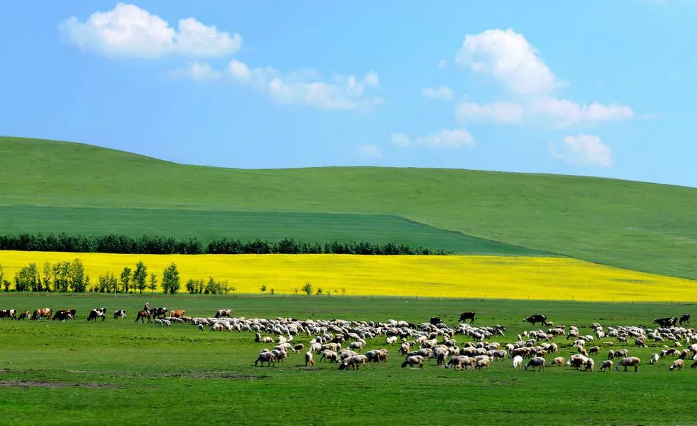 内蒙古，青春记忆的画卷