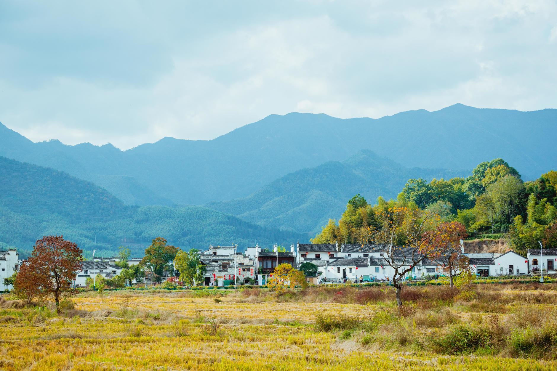 安徽阳光下的温馨故事集锦