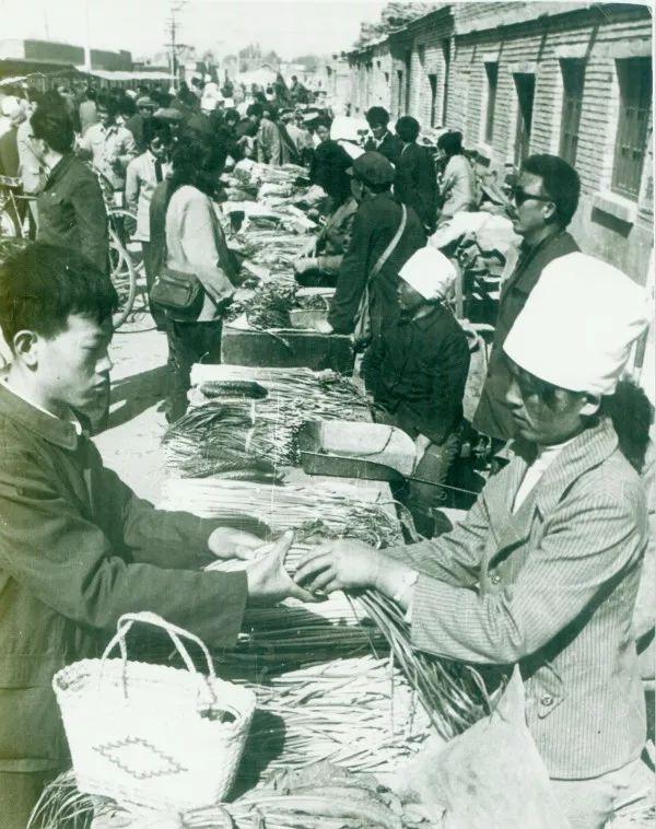 乌海，探寻无尽魅力与独特风情