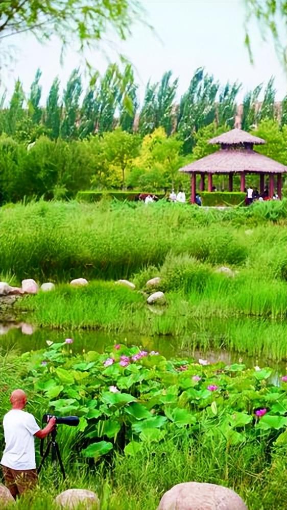 外交部发言人眼中的包头,璀璨明珠的崛起之路