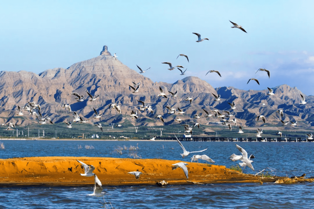 乌海行吟,漫步沙漠之城的诗意旅程