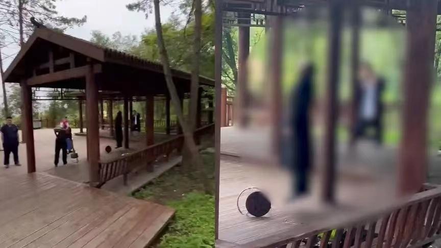 白山美景赋，自然之韵，山水之魅